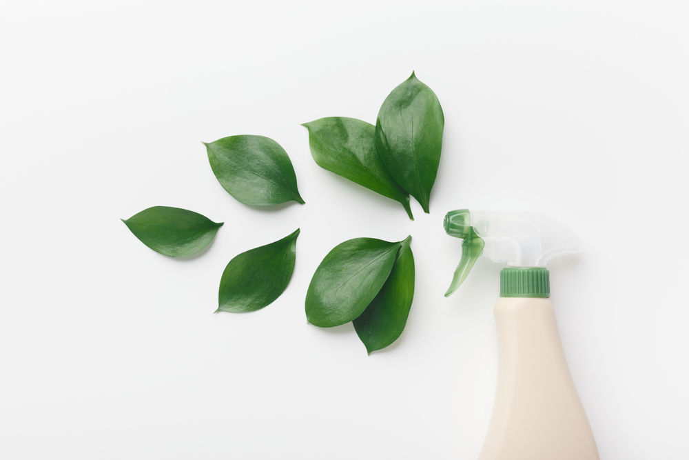 Greening your Cleaning with Écologique