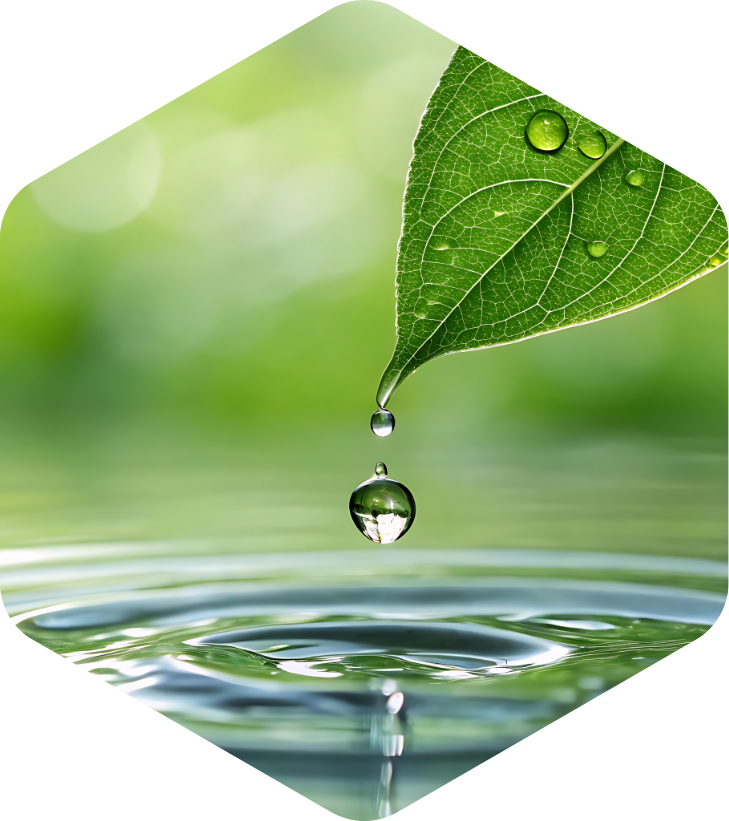 Écologique Cleaning Program Image
