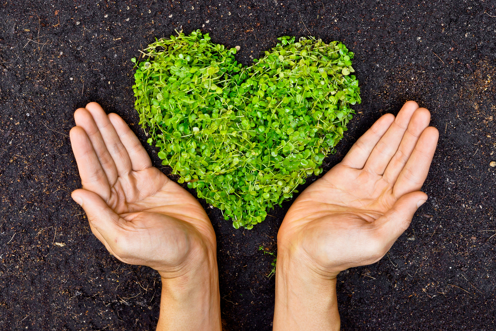 Hands with green heart, sustainable cleaning