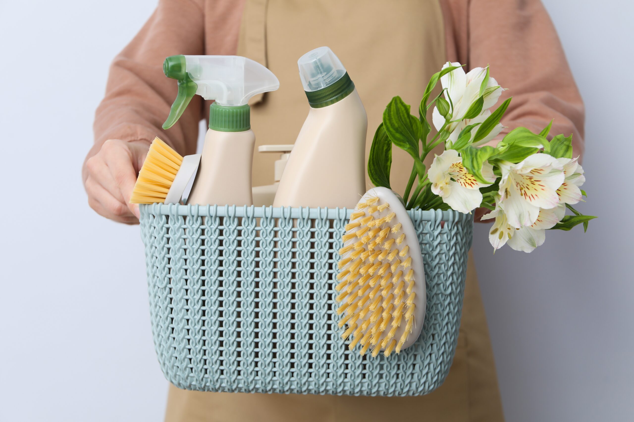 Understanding and Addressing Common Indoor Allergens